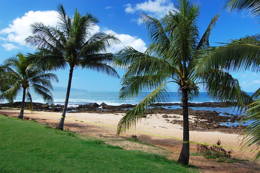 Beach during the winter