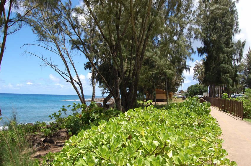 Beach park walkway