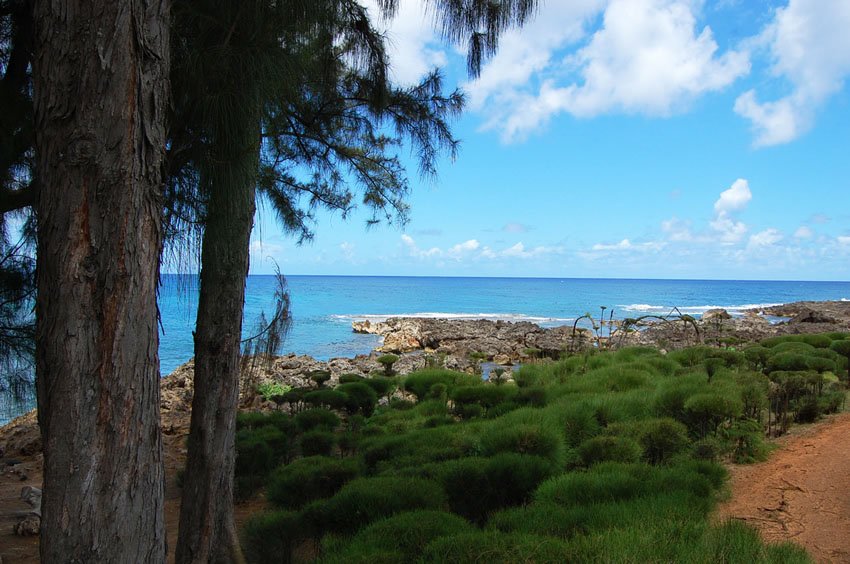 North Shore Oahu