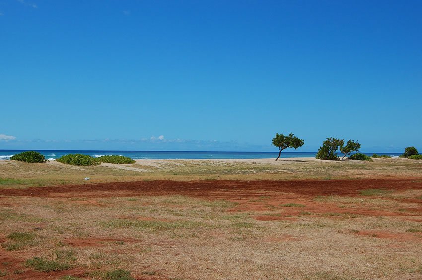 Looking towards the ocean from the park