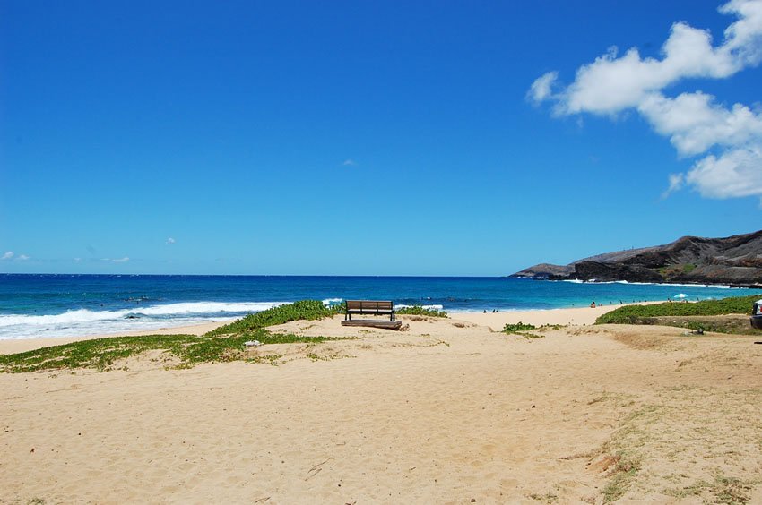 Bench on the beach