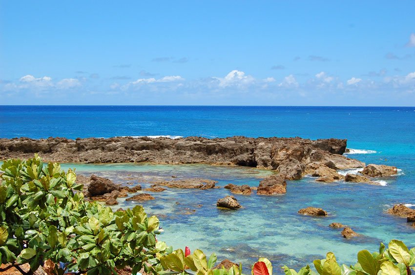 Shark's Cove on North Shore