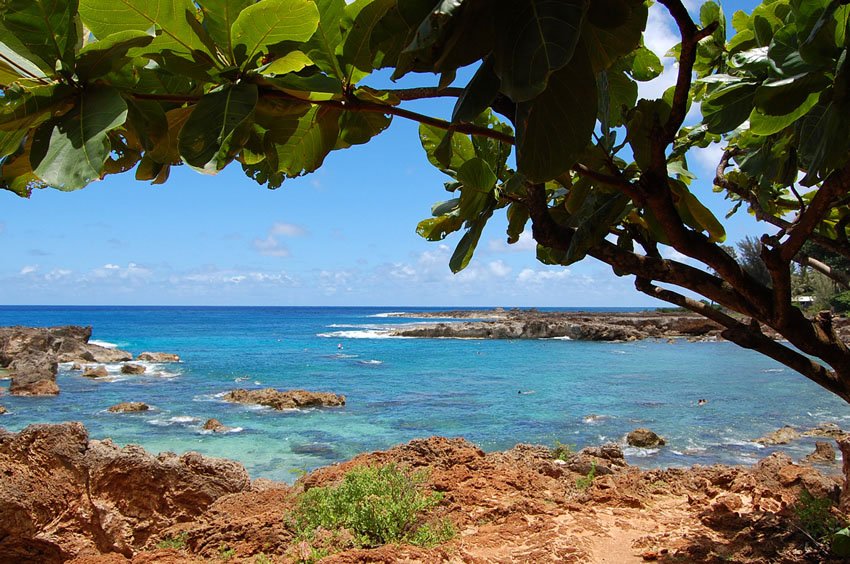 Shark's Cove Oahu