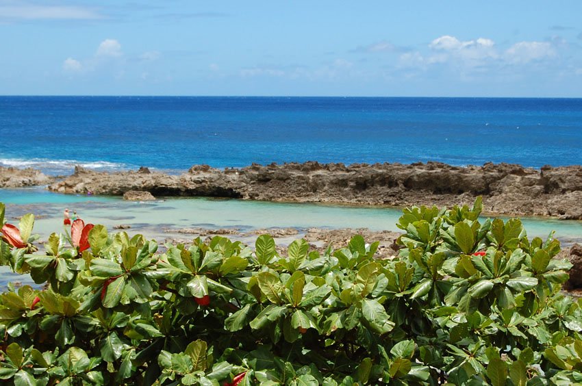 Sharks Cove in the summer