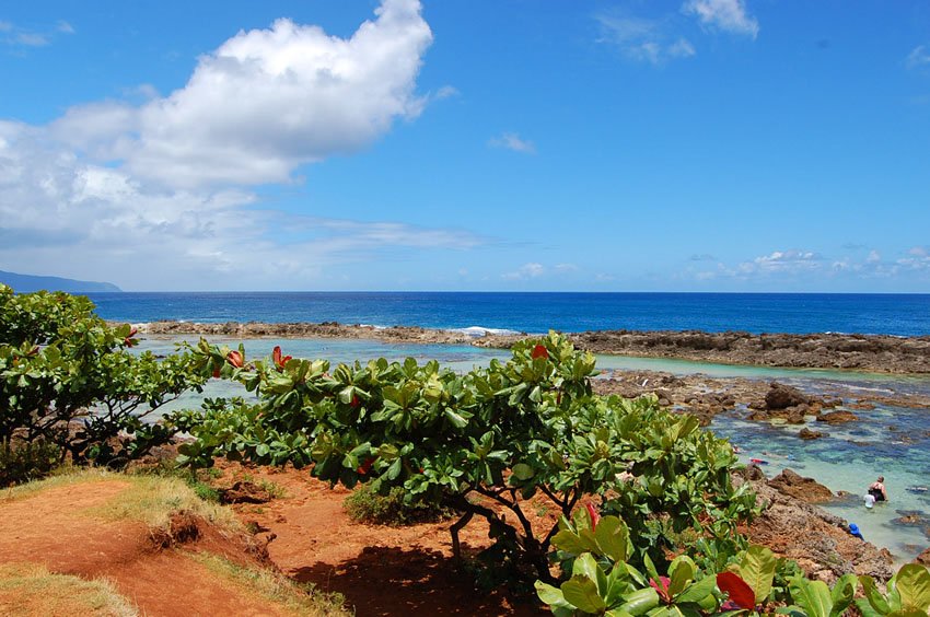 Part of Pupukea Beach Park