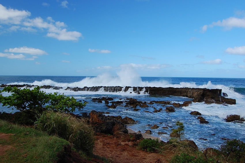 Sharks Cove in the winter