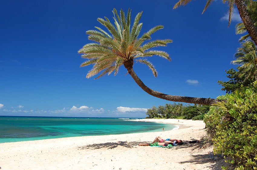 Tropical view on Oahu