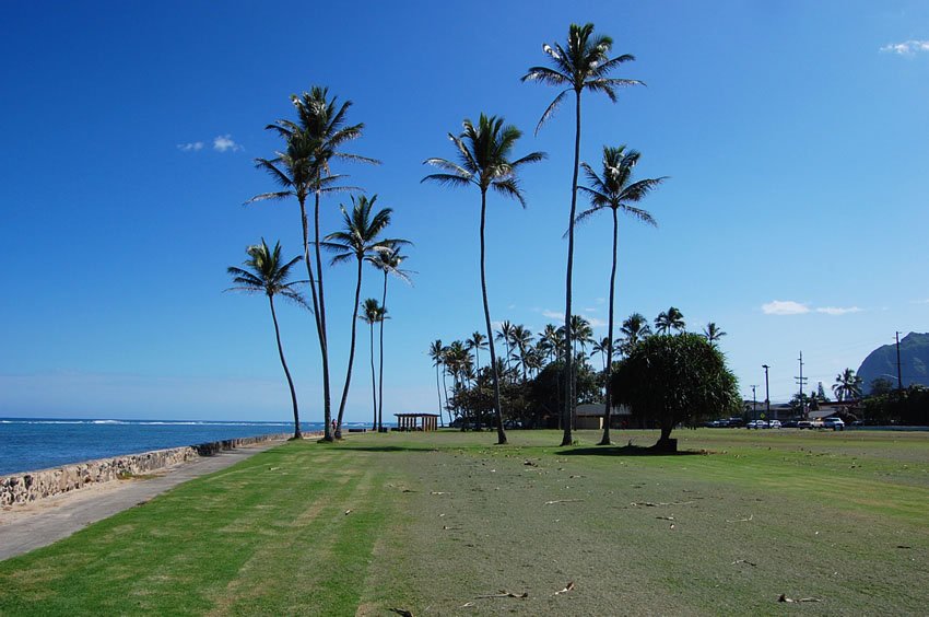 Large park in Ka'a'awa