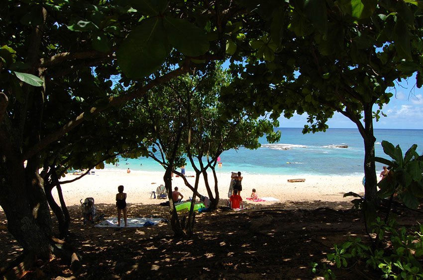 Beach shade