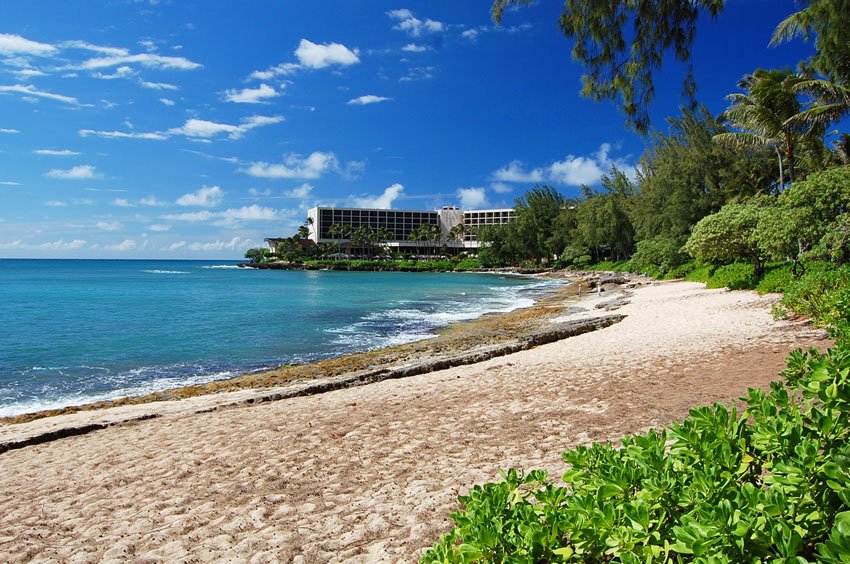 View to Turtle Bay Resort