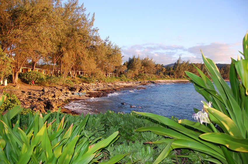 Rocky shoreline