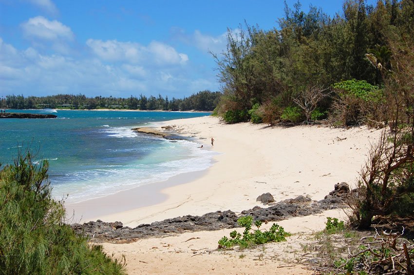 Sandy portion of Turtle Beach