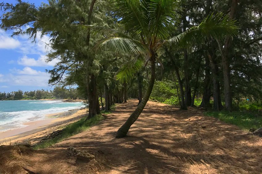 Scenic hike along the shore