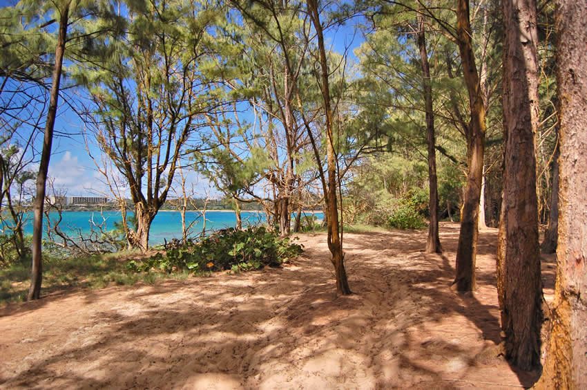 Scenic hike along Turtle Bay