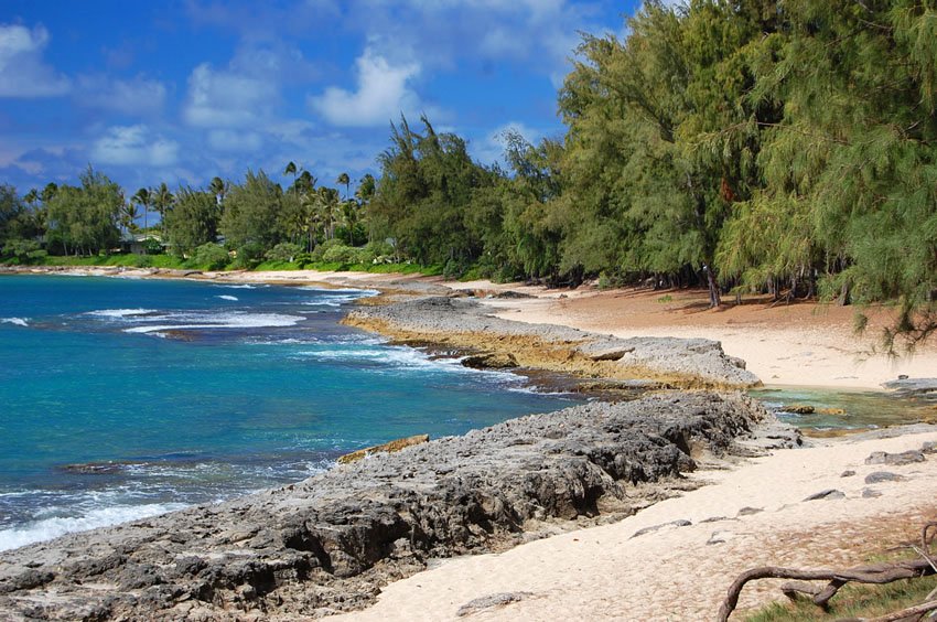 Scenic shoreline