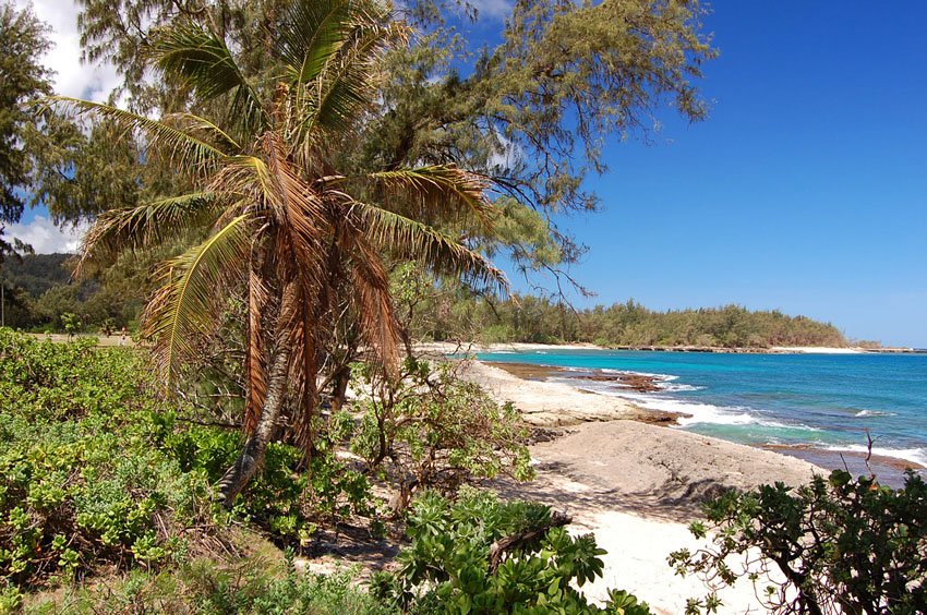 Turtle Bay Beach on Oahu