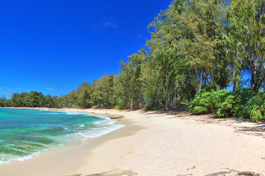 Turtle Bay Beach