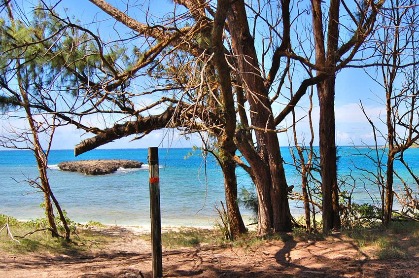 Turtle Bay Beach