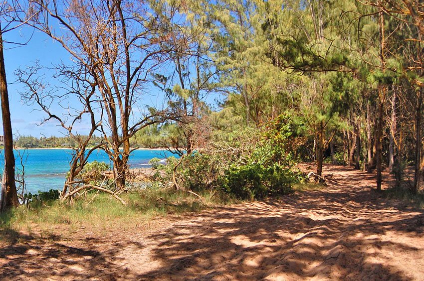 Turtle Bay Beach