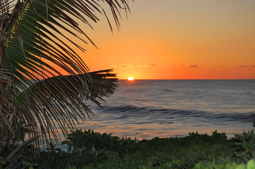 Turtle Bay Sunset