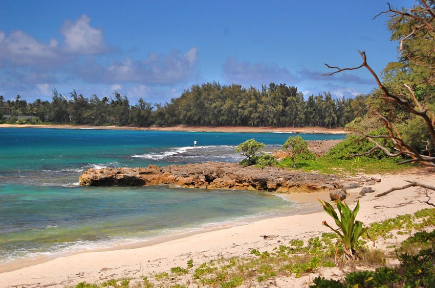 Undeveloped beach