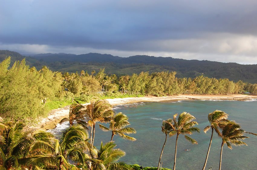 View from a room in Turtle Bay Resort