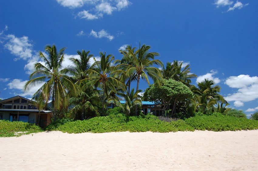 Beachfront homes on Turtle Beach