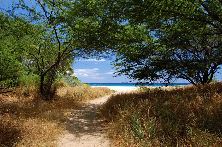 Public beach access