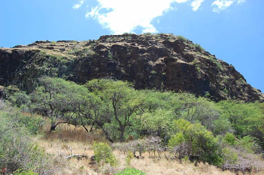 Up-close view of Mauna Lahilahi