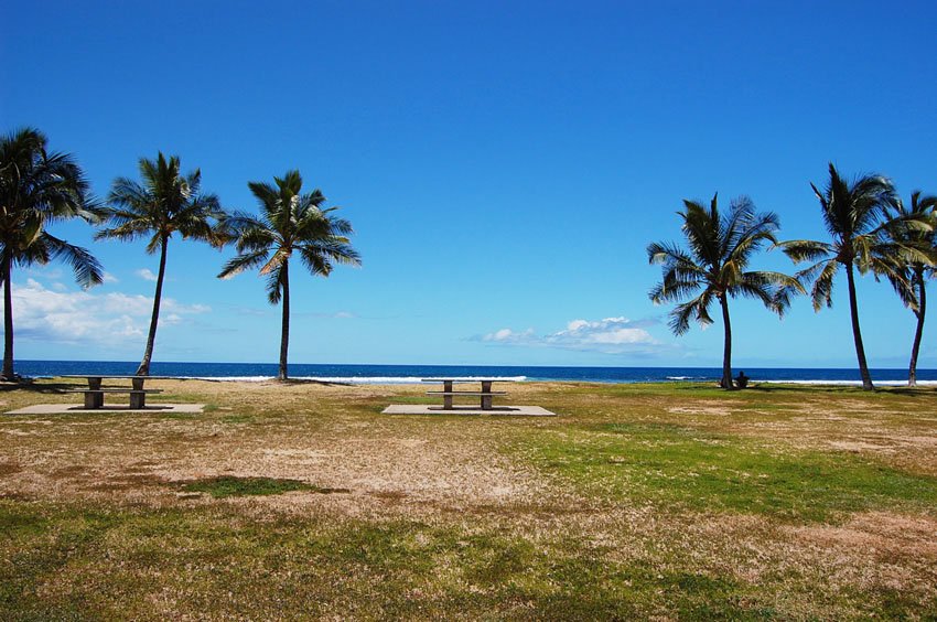 Oceanfront picnic tables