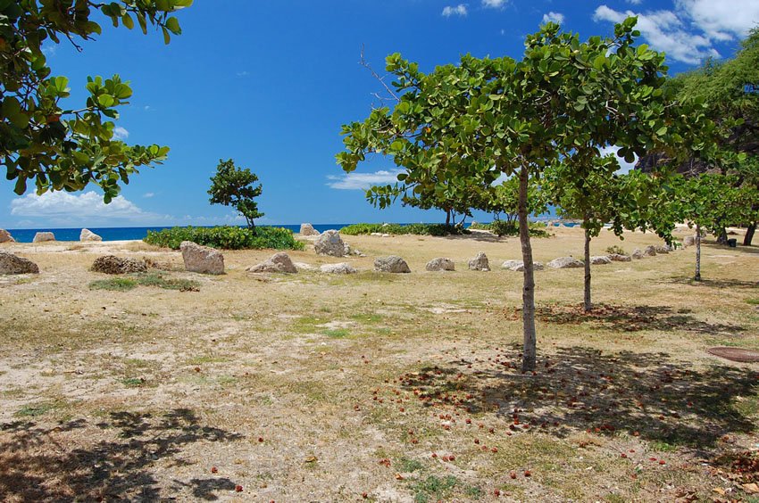 Remains of an ancient Hawaiian settlement