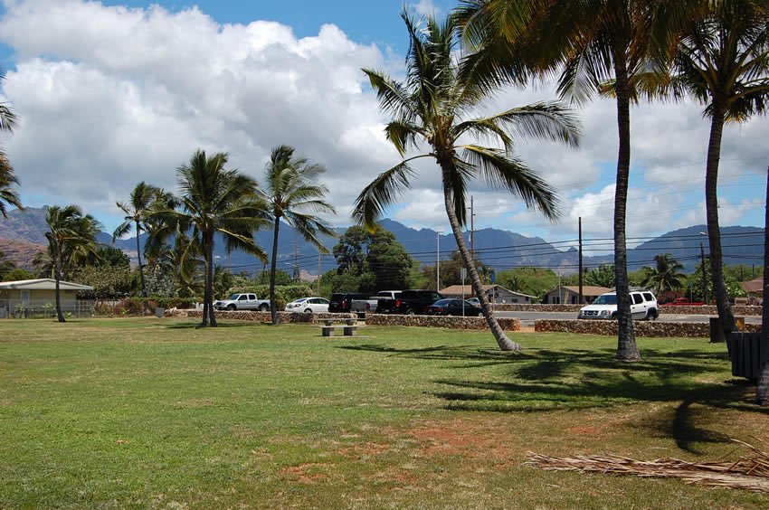 View to the parking from the park