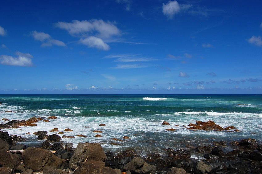 Rocky shoreline