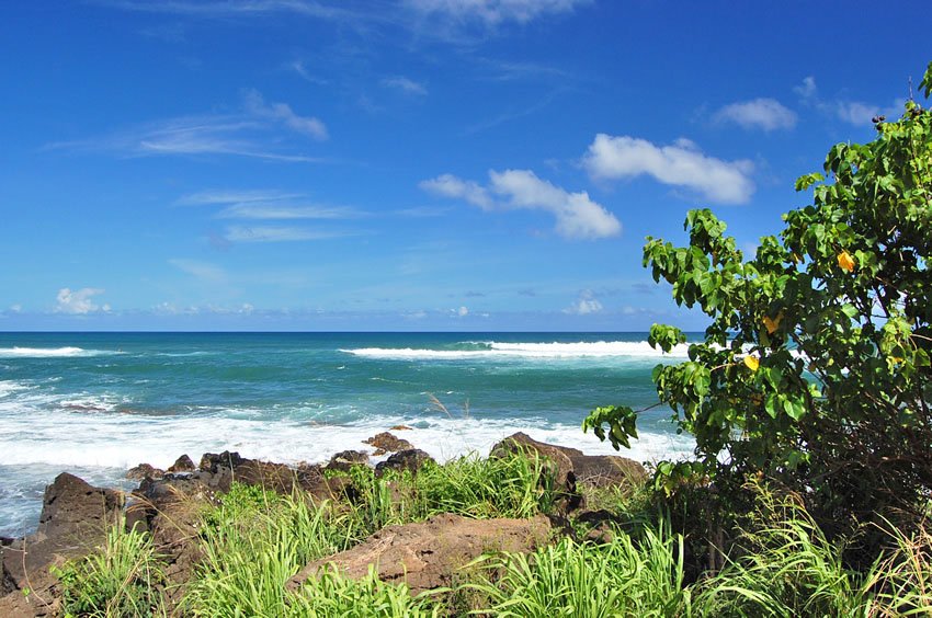 Oahu's north shore