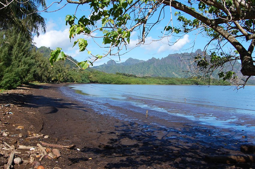 Middle part of Waiahole Beach