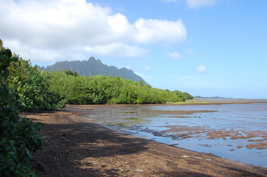 Northern end of Waiahole Beach