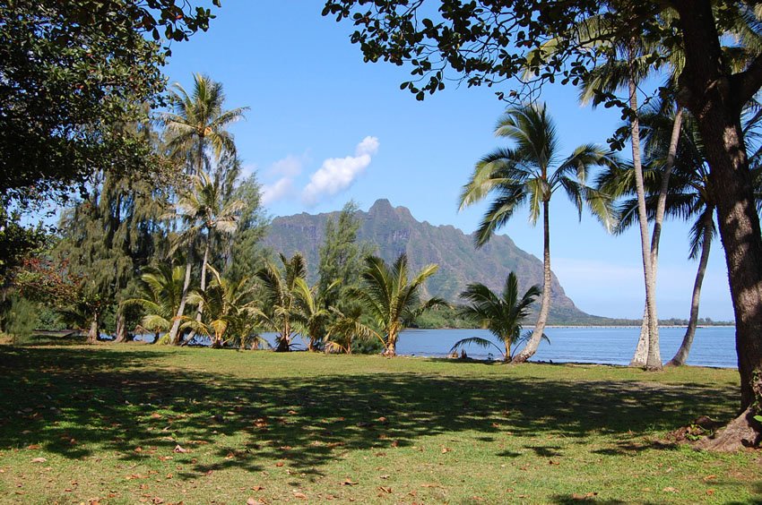 View to majestic Ko'olau Mountains