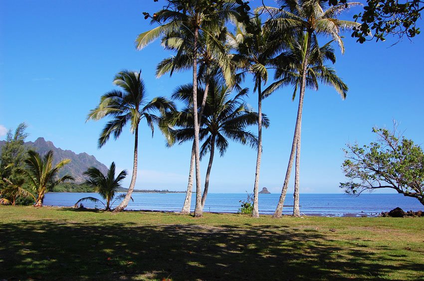 Scenic beach park on Oahu