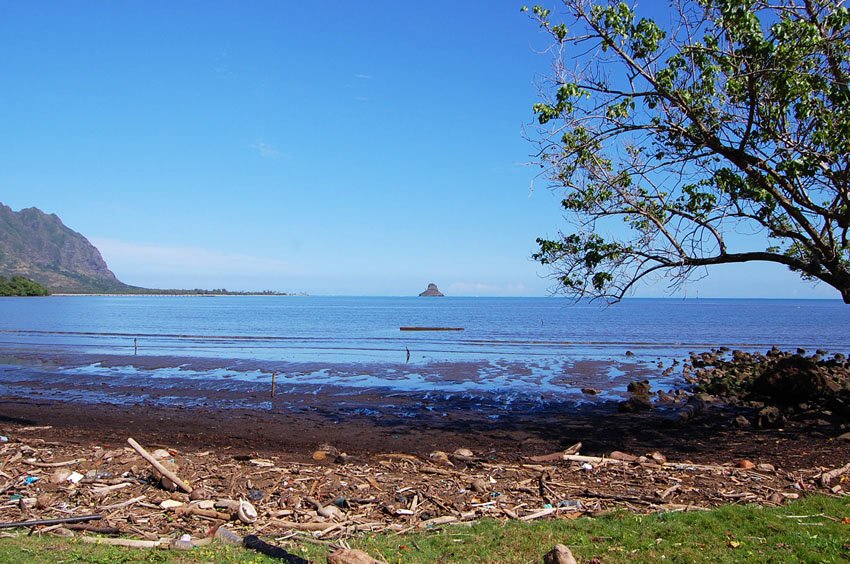 View to Chinaman's Hat