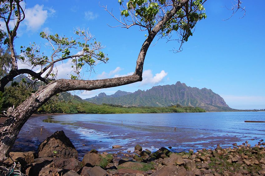 Waiahole Beach Park