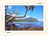 Waiahole Beach Park