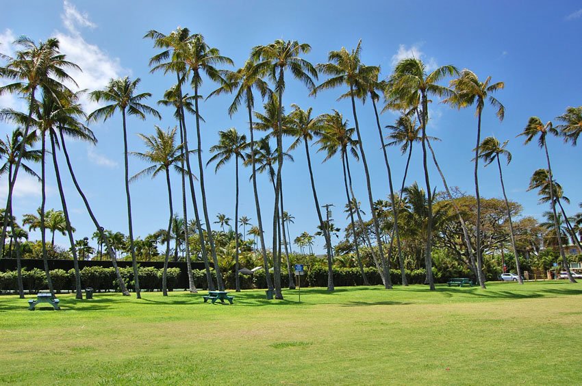 Wai'alae Park