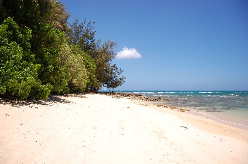 Sandy portion of Waiale'e Beach