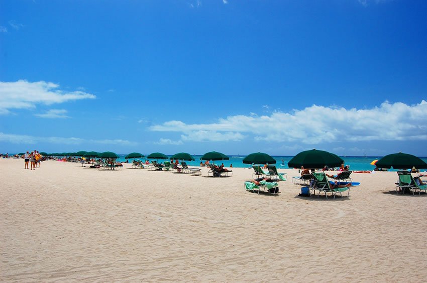 Waikiki Beach umbrellas