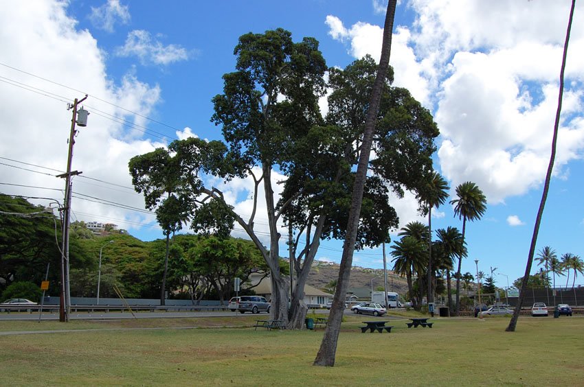 Park located along the highway