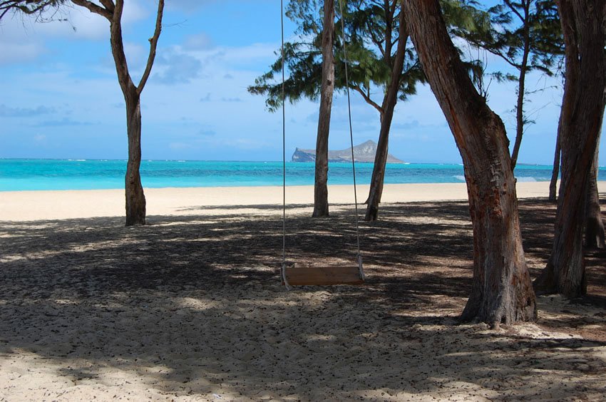 Beachfront swing