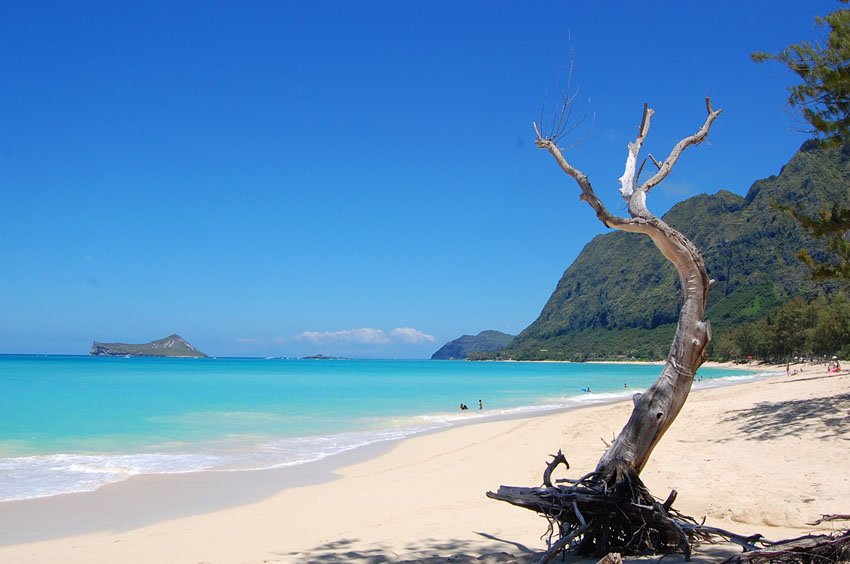 View to Rabbit Island