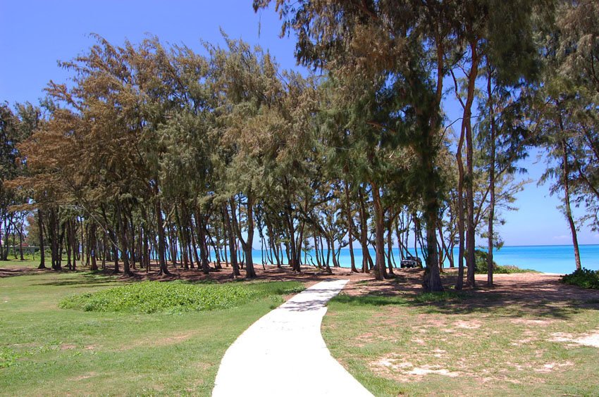 Walkway to the beach