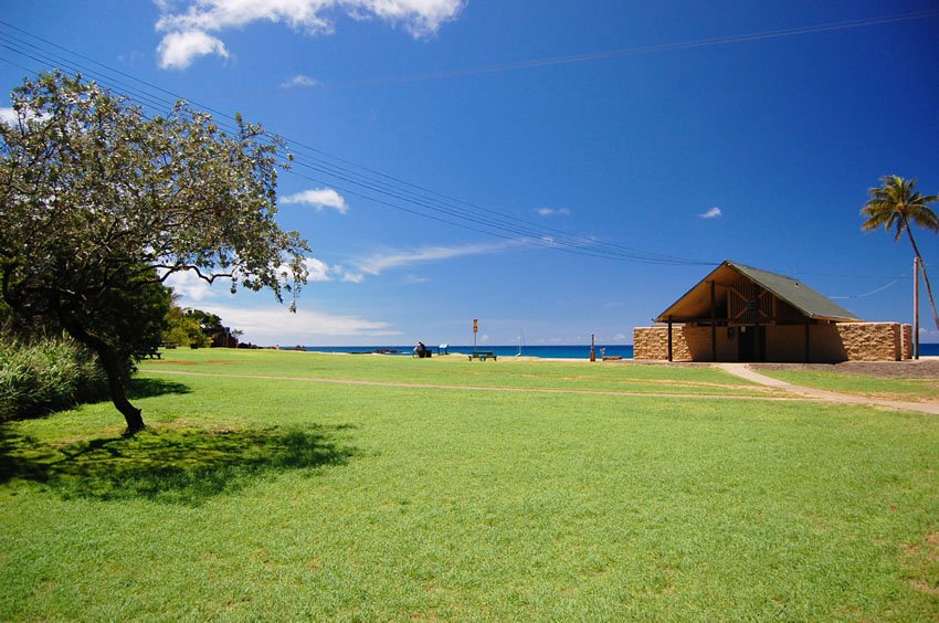 Waimea Beach Park