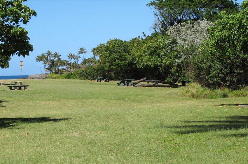 Waimea Park